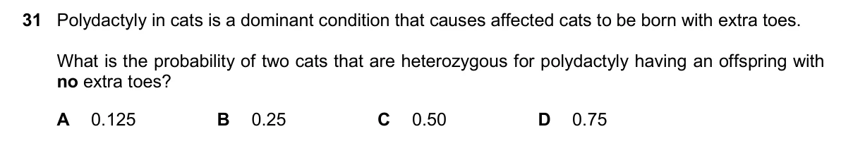 Question 31, November 2025, 0610 Paper 23
