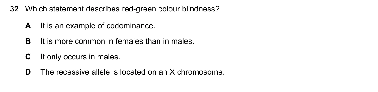 Question 32, November 2025, 0610 Paper 23