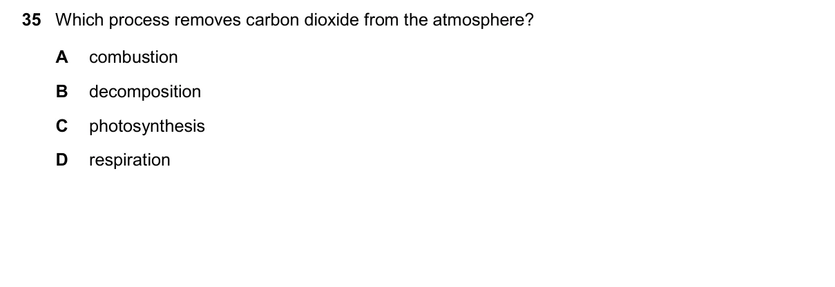 Question 35, November 2025, 0610 Paper 23