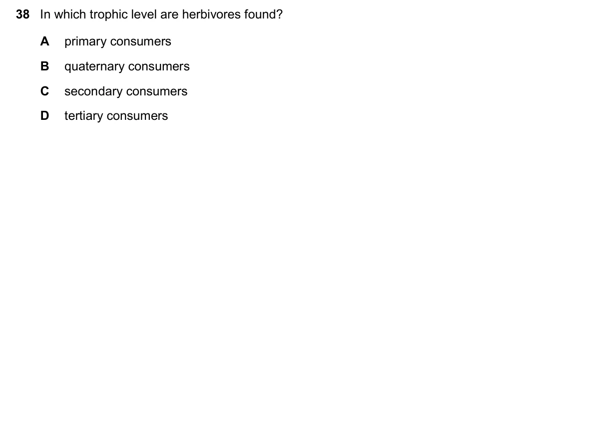 Question 38, November 2025, 0610 Paper 23