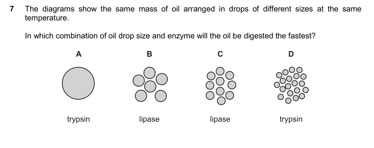 Question 7, November 2025, 0610 Paper 23