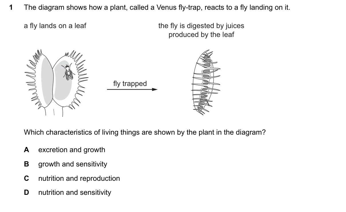 Question 1, March 2026, 0610 Paper 12