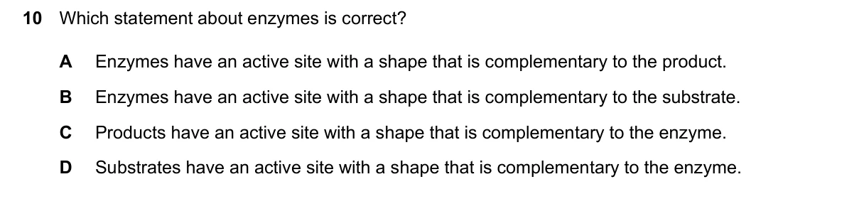 Question 10, March 2026, 0610 Paper 12