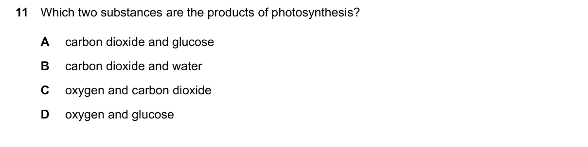 Question 11, March 2026, 0610 Paper 12