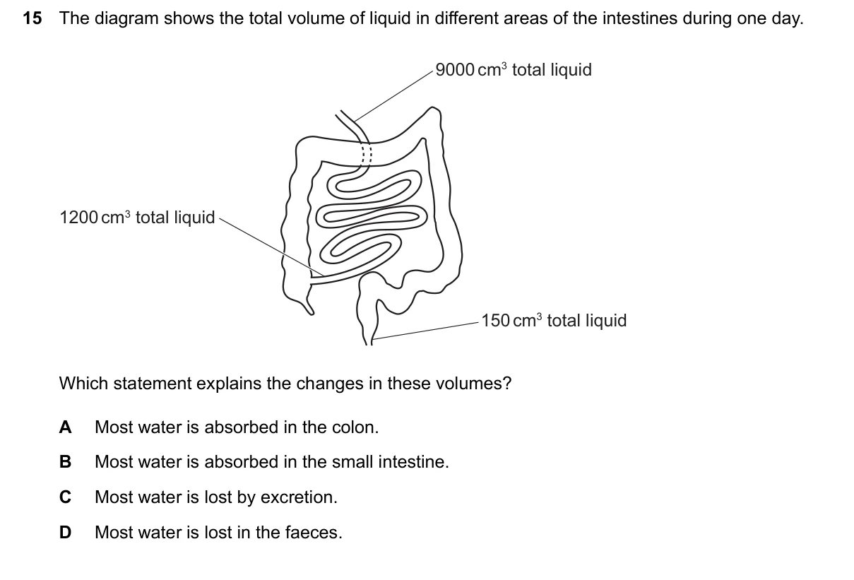 Question 15, March 2026, 0610 Paper 12