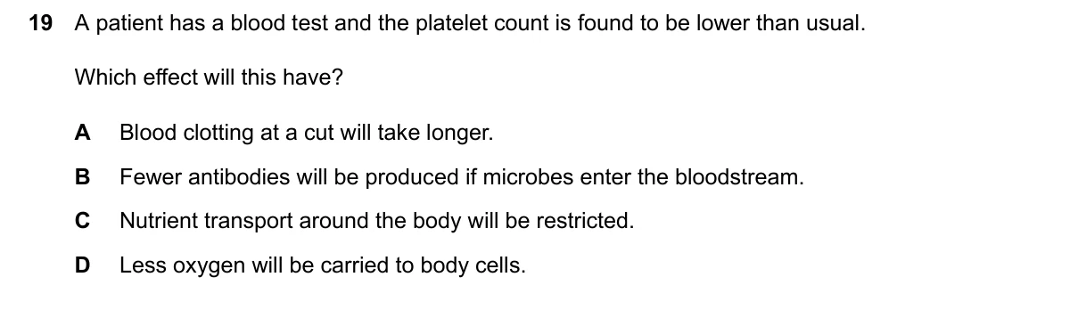 Question 19, March 2026, 0610 Paper 12