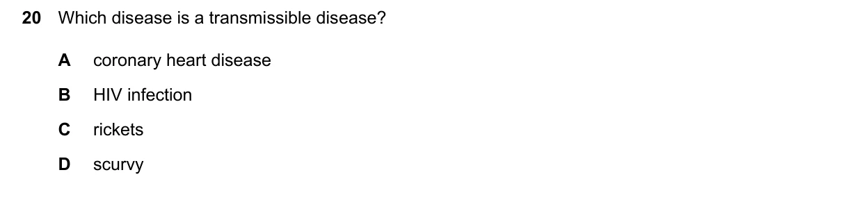 Question 20, March 2026, 0610 Paper 12