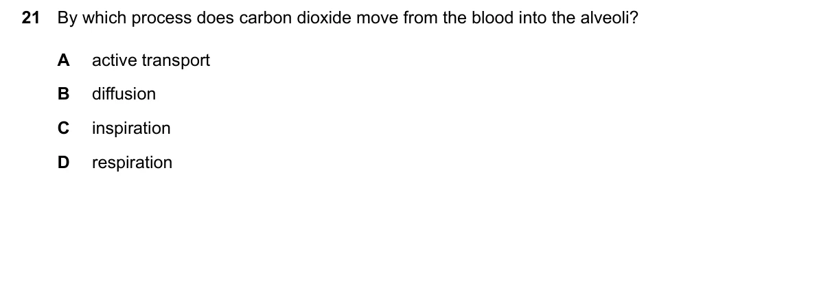 Question 21, March 2026, 0610 Paper 12