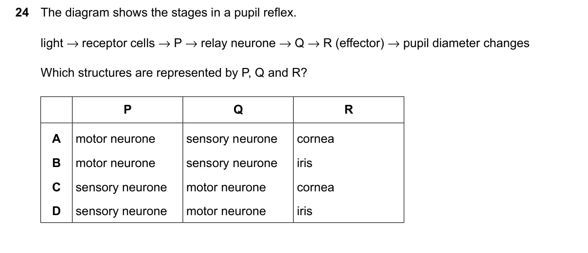 Question 24, March 2026, 0610 Paper 12