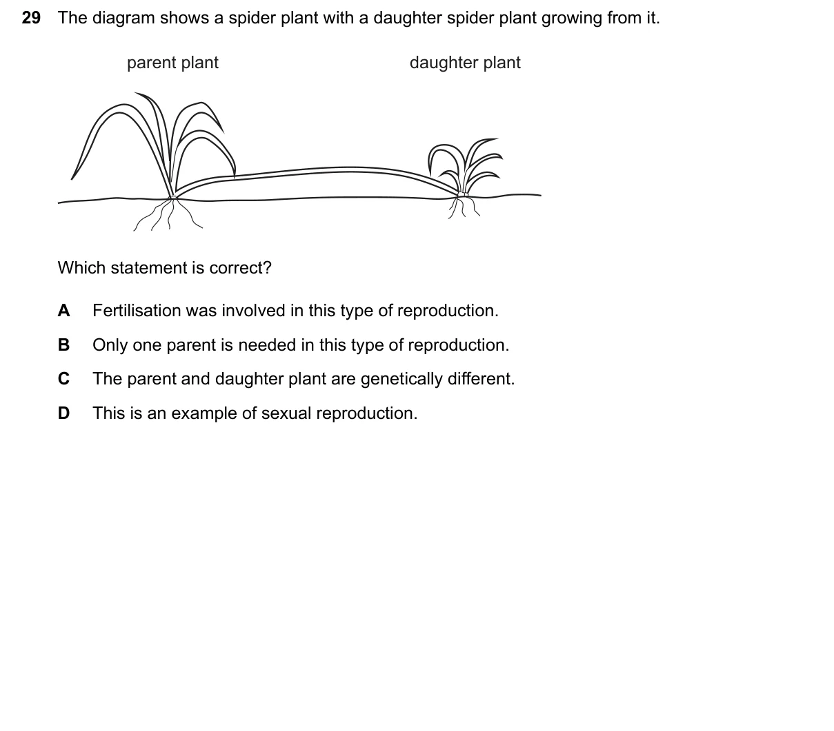 Question 29, March 2026, 0610 Paper 12