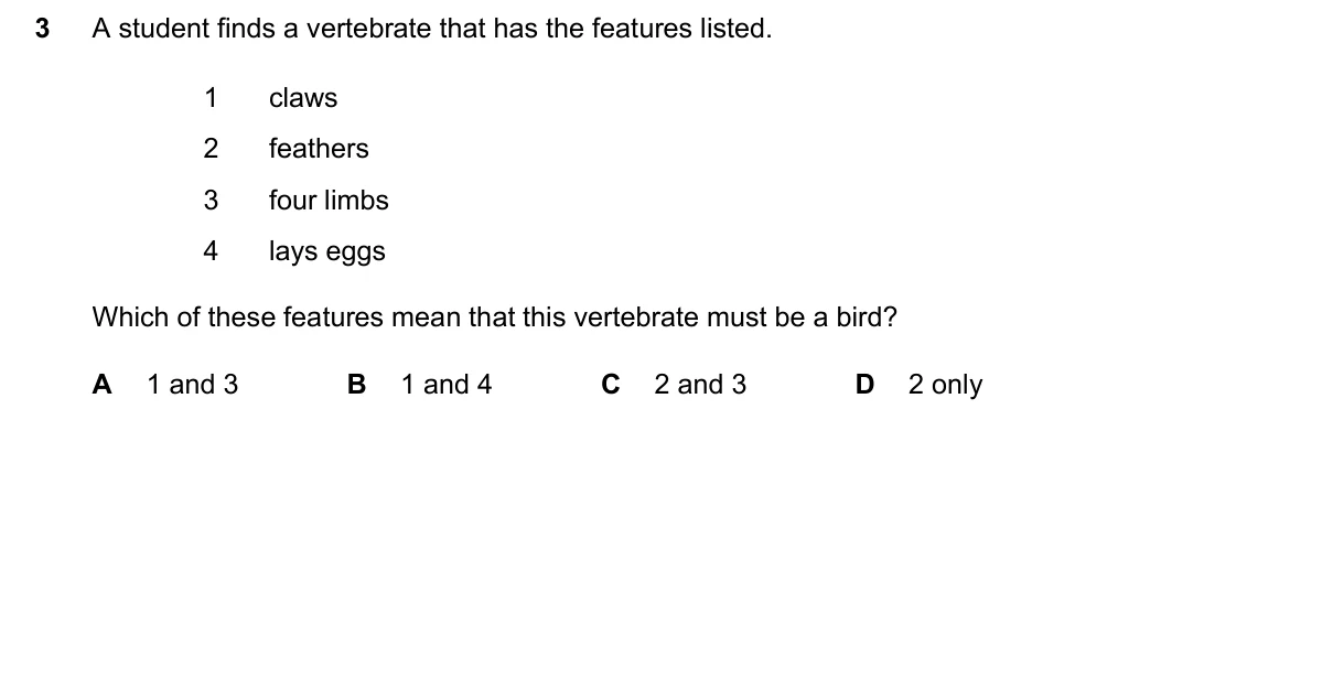 Question 3, March 2026, 0610 Paper 12