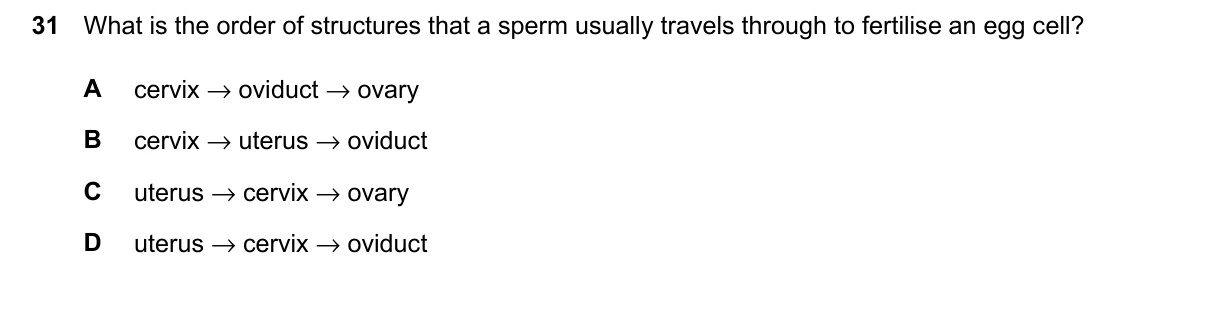 Question 31, March 2026, 0610 Paper 12