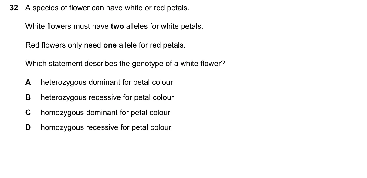Question 32, March 2026, 0610 Paper 12