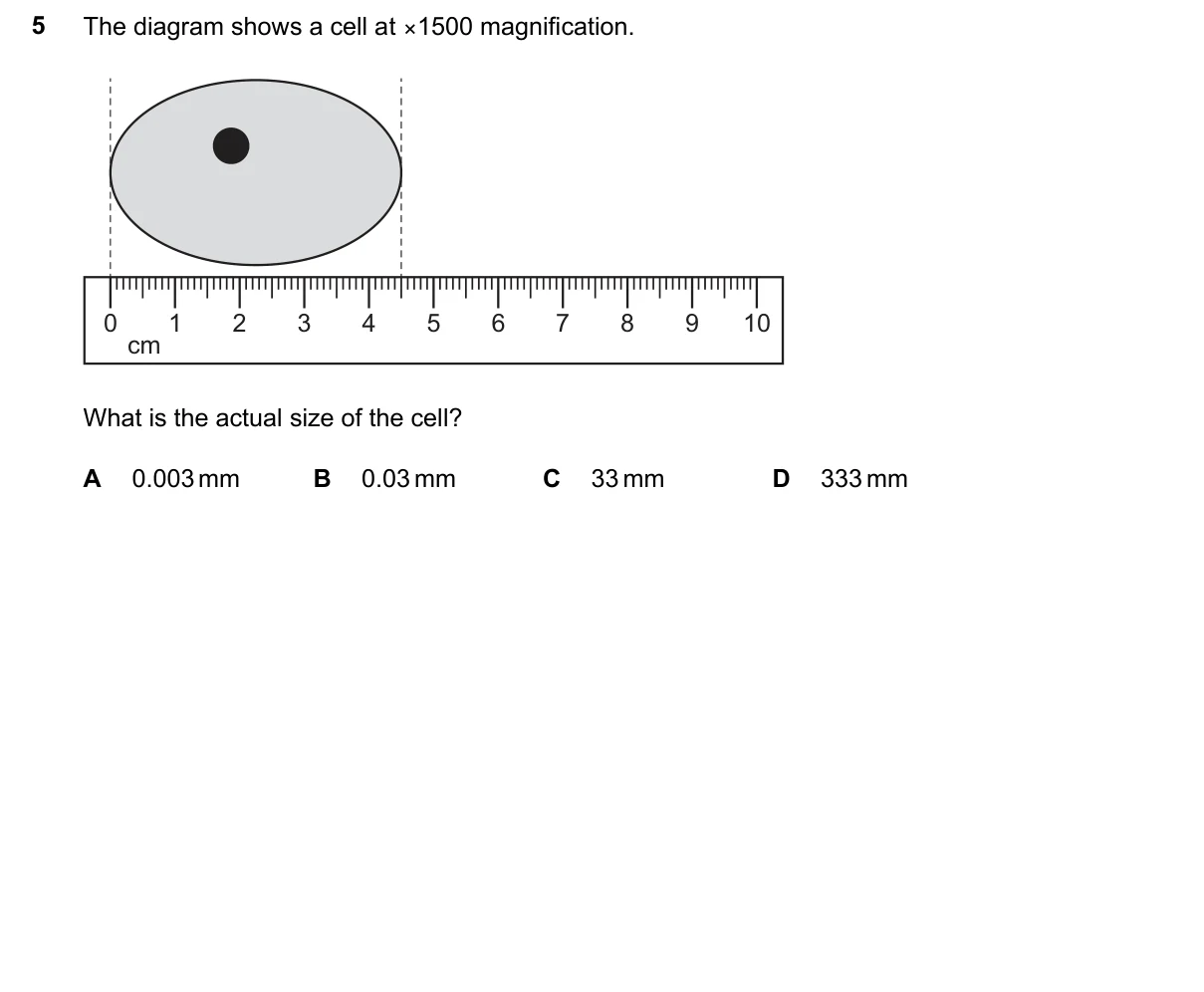 Question 5, March 2026, 0610 Paper 12