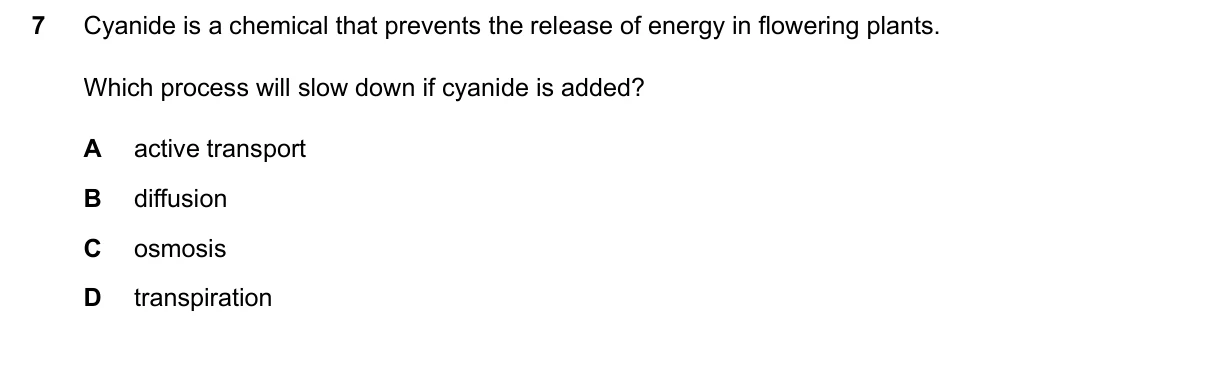 Question 7, March 2026, 0610 Paper 12
