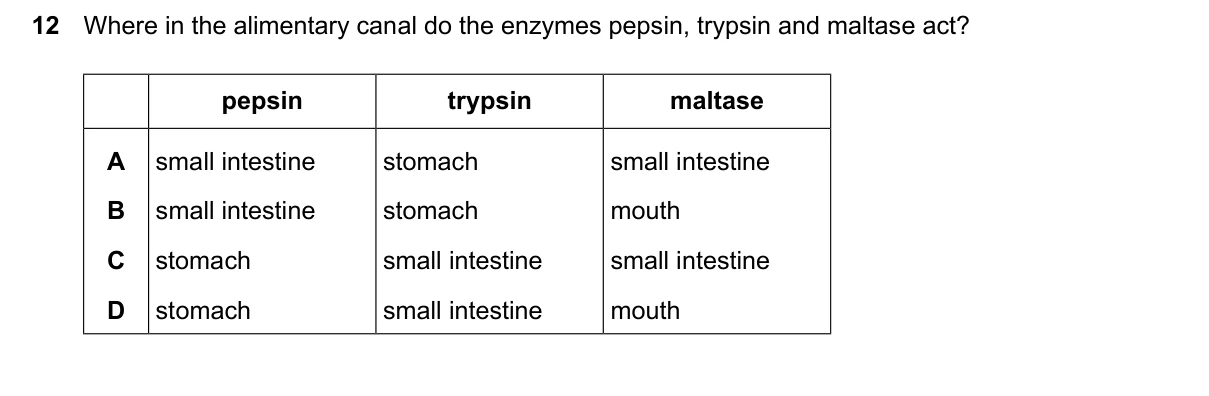 Question 12, March 2026, 0610 Paper 22