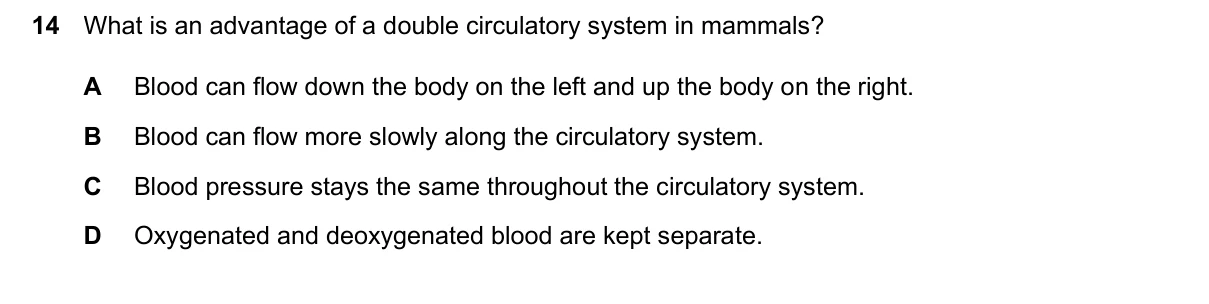 Question 14, March 2026, 0610 Paper 22