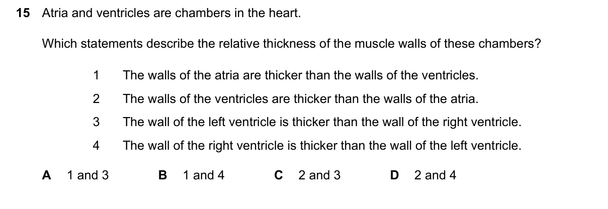 Question 15, March 2026, 0610 Paper 22