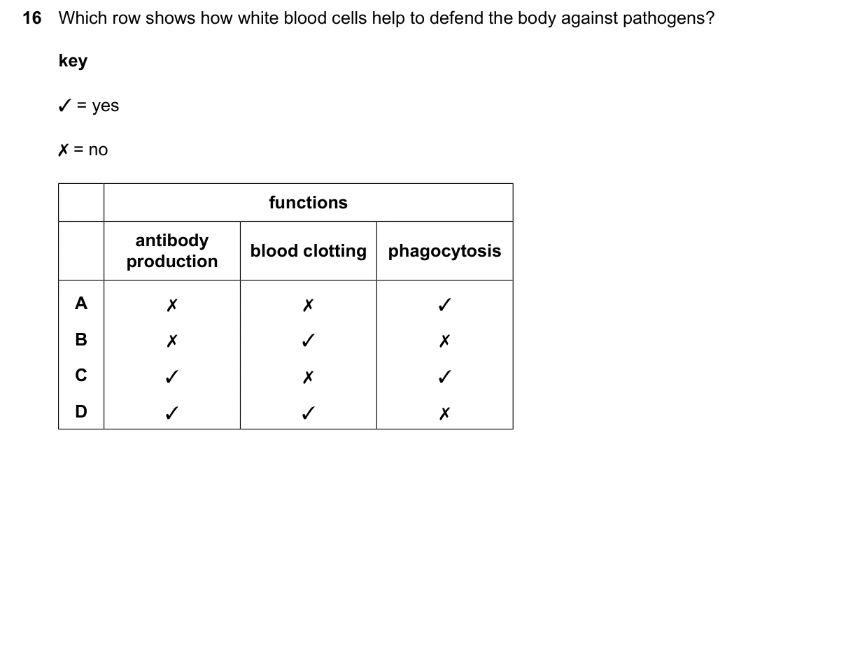 Question 16, March 2026, 0610 Paper 22