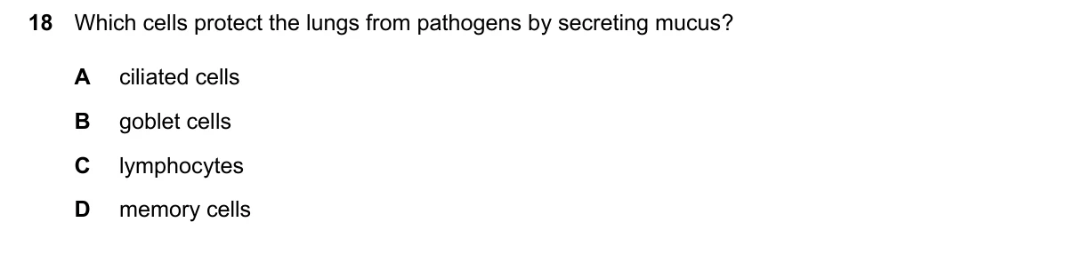 Question 18, March 2026, 0610 Paper 22