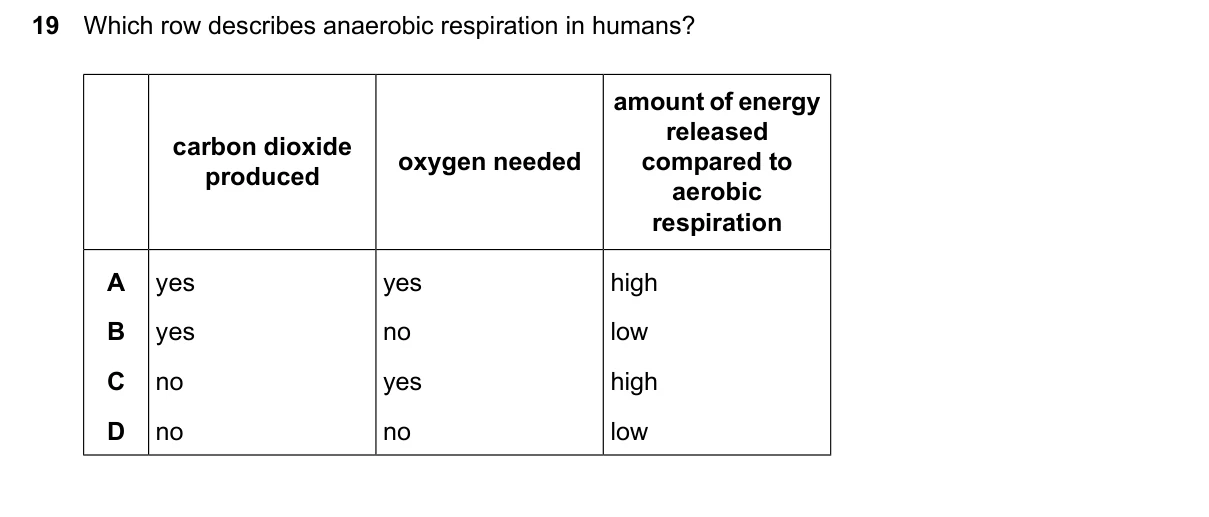 Question 19, March 2026, 0610 Paper 22