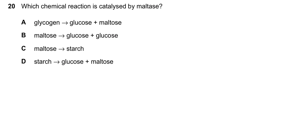 Question 20, March 2026, 0610 Paper 22