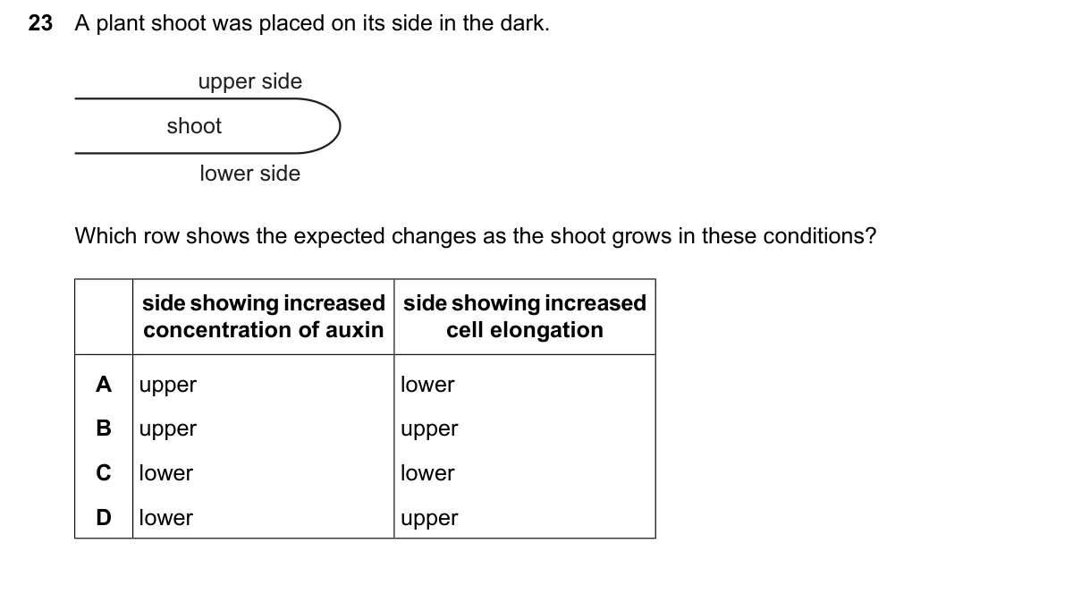 Question 23, March 2026, 0610 Paper 22