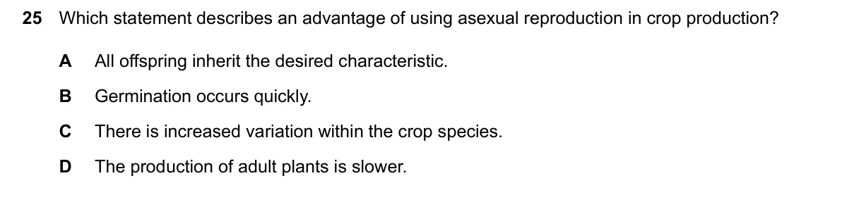 Question 25, March 2026, 0610 Paper 22