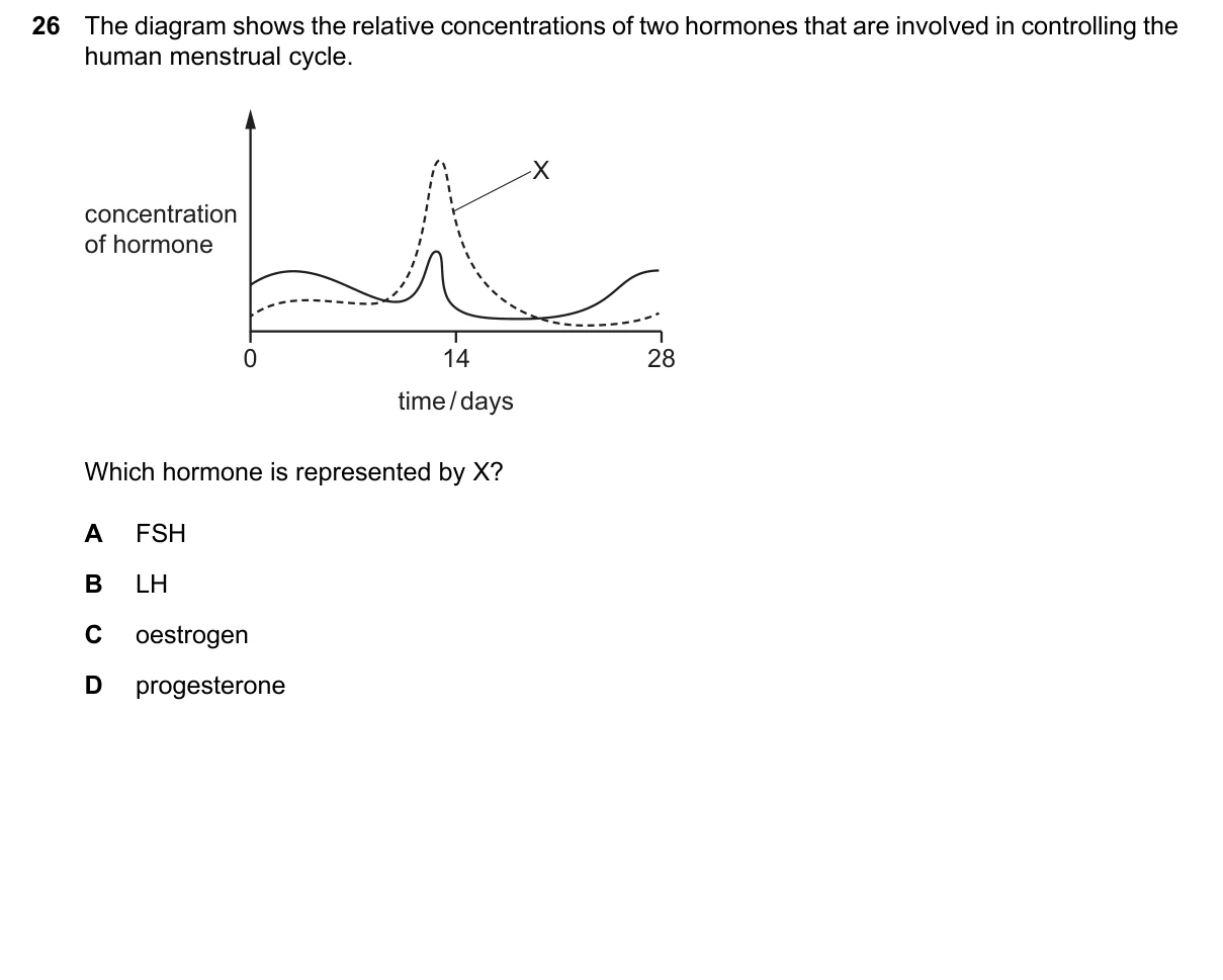 Question 26, March 2026, 0610 Paper 22