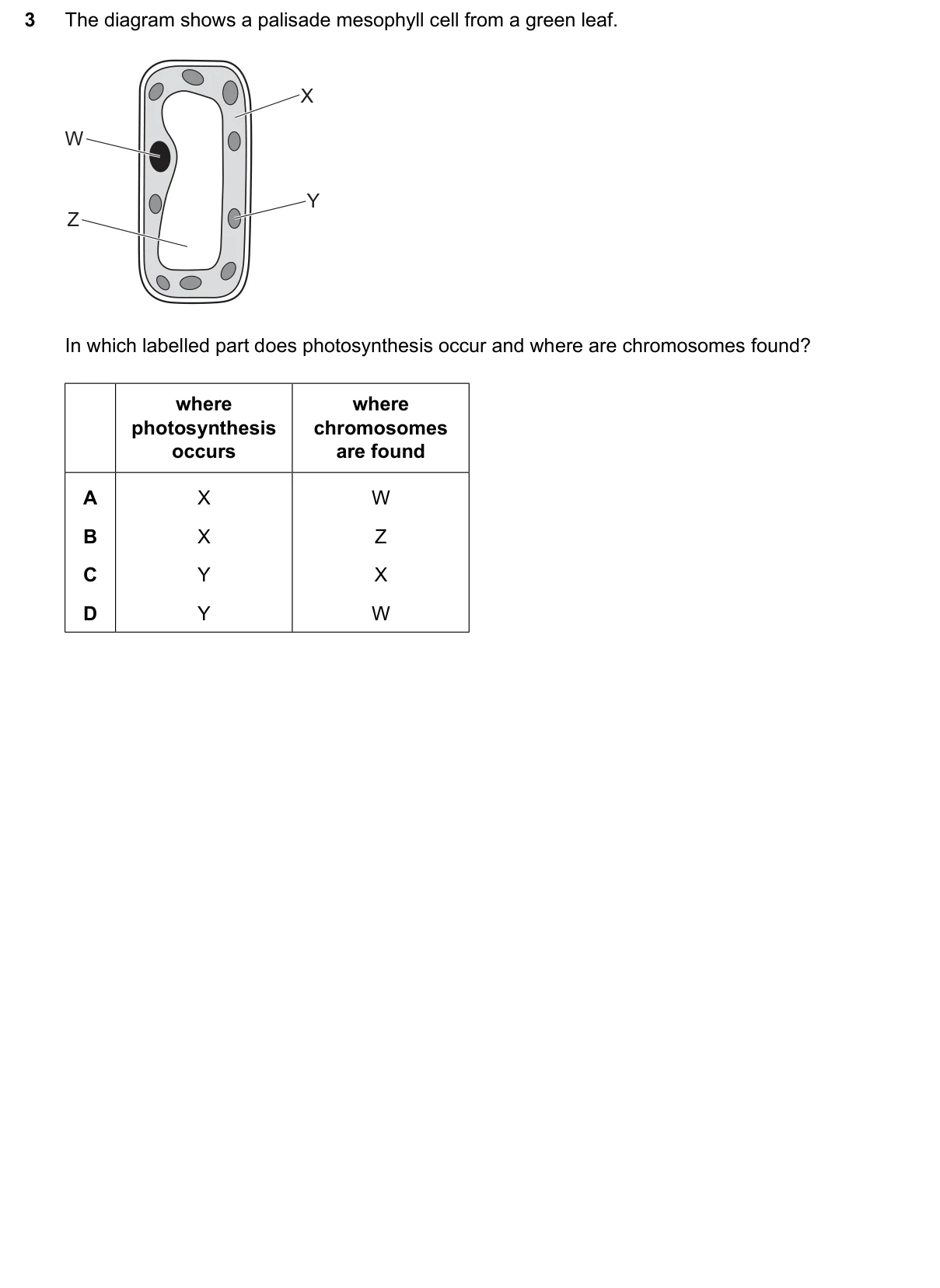 Question 3, March 2026, 0610 Paper 22