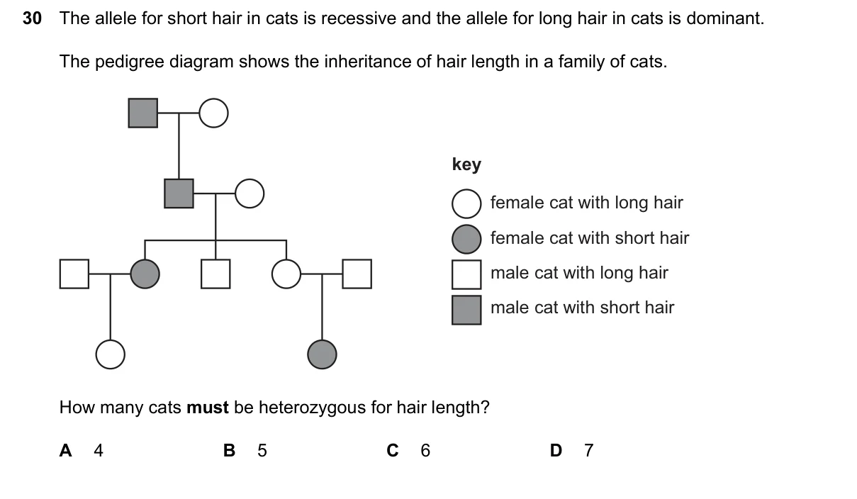 Question 30, March 2026, 0610 Paper 22