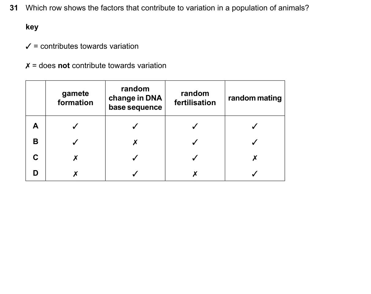 Question 31, March 2026, 0610 Paper 22
