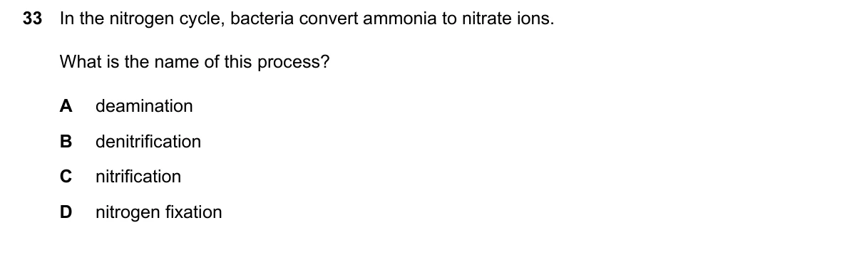 Question 33, March 2026, 0610 Paper 22