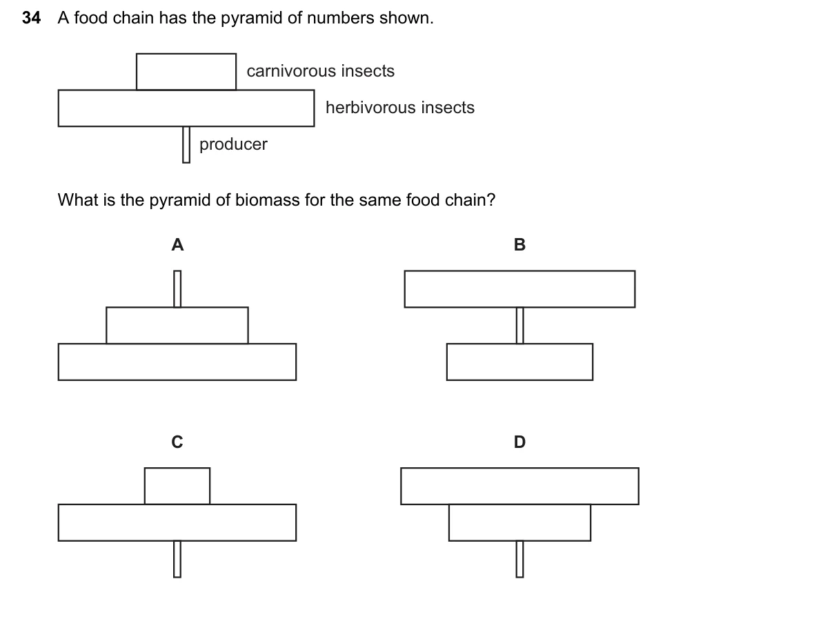 Question 34, March 2026, 0610 Paper 22