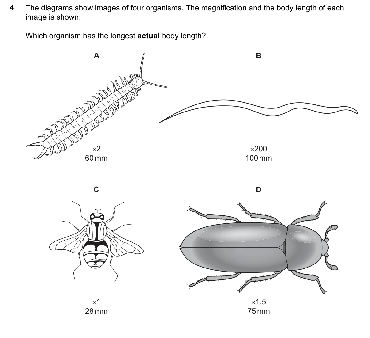 Question 4, March 2026, 0610 Paper 22