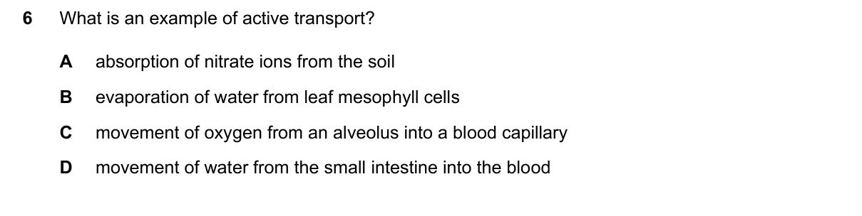Question 6, March 2026, 0610 Paper 22