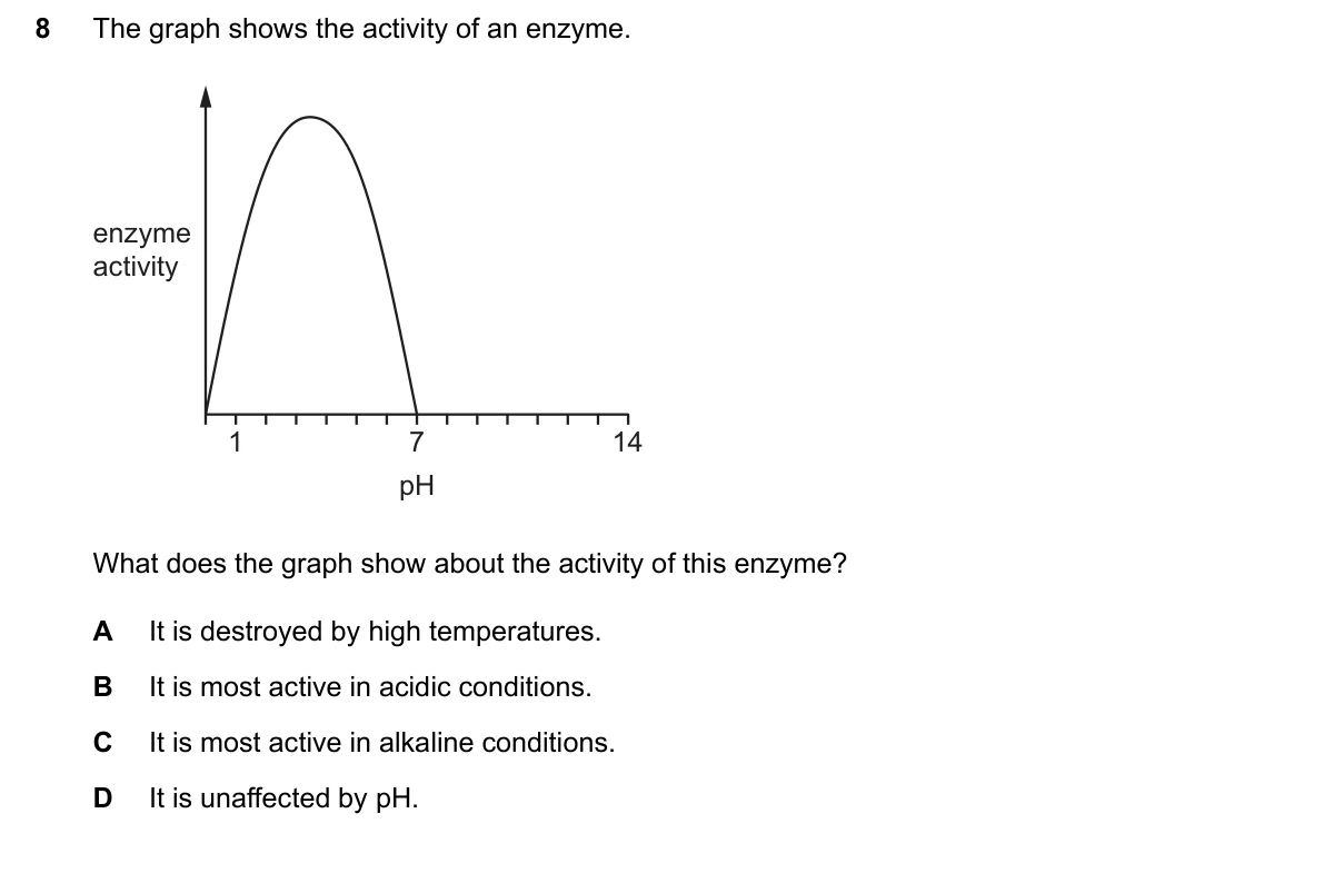 Question 8, March 2026, 0610 Paper 22