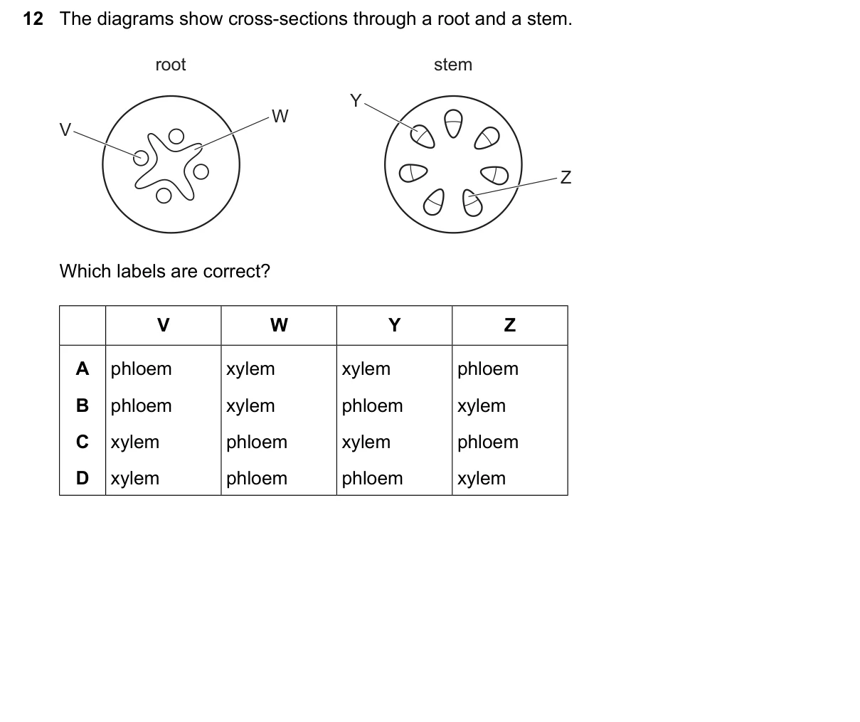 Question 12, June 2026, 0610 Paper 11