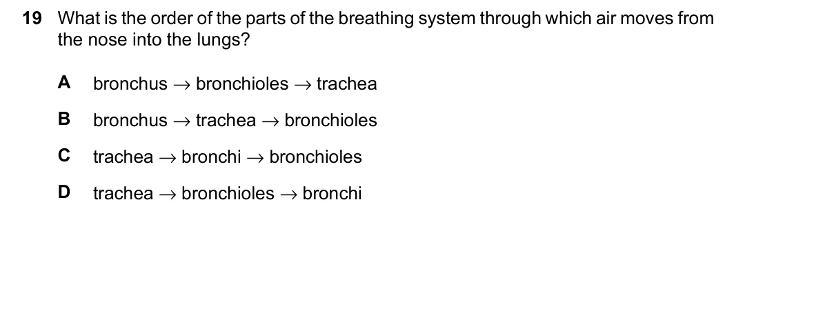 Question 19, June 2026, 0610 Paper 11