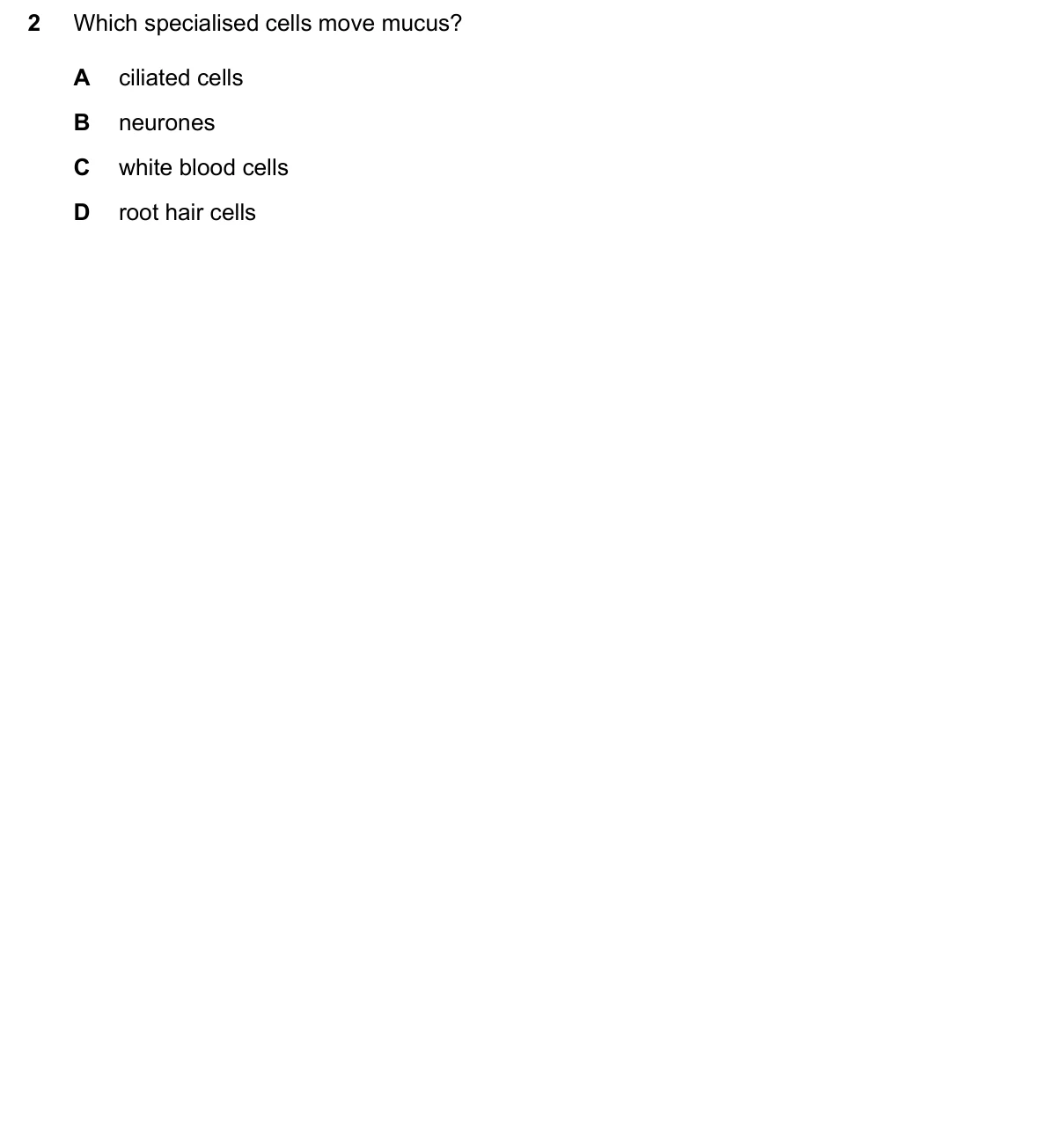 Question 2, June 2026, 0610 Paper 11