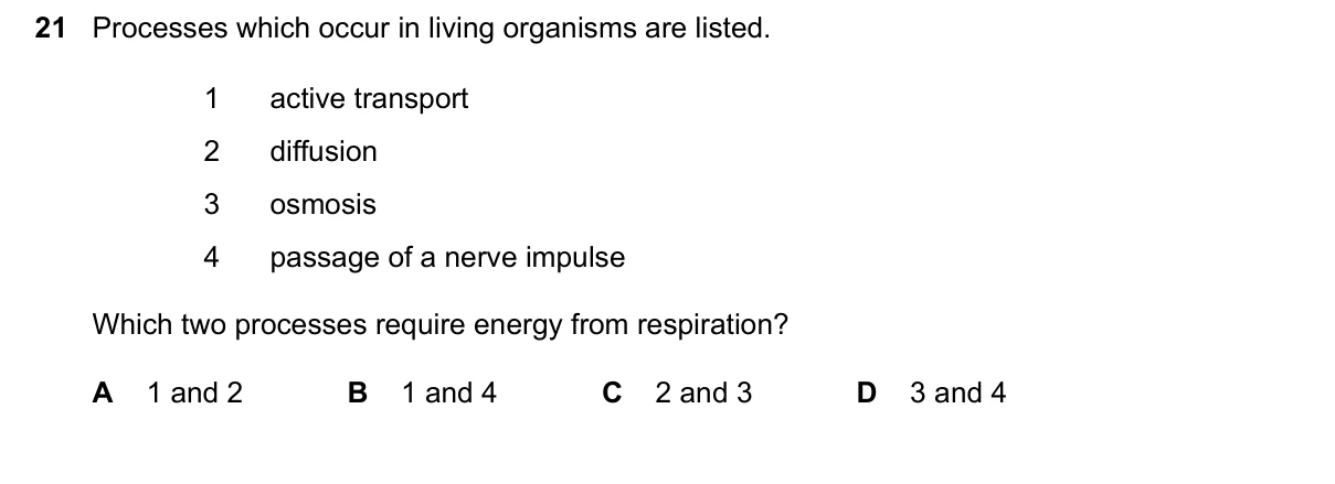 Question 21, June 2026, 0610 Paper 11
