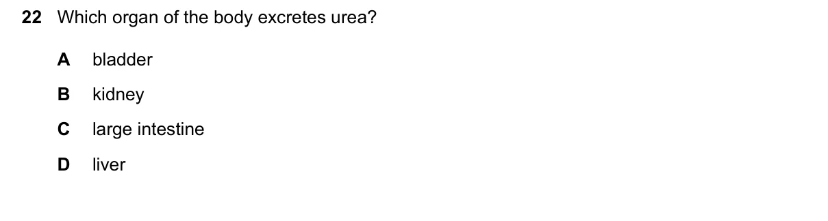 Question 22, June 2026, 0610 Paper 11
