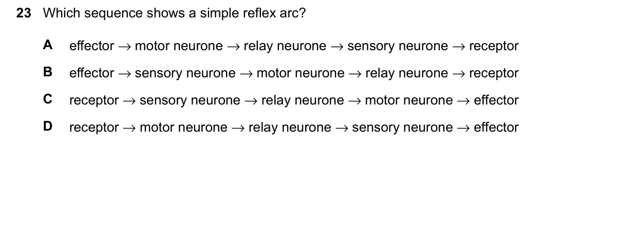 Question 23, June 2026, 0610 Paper 11