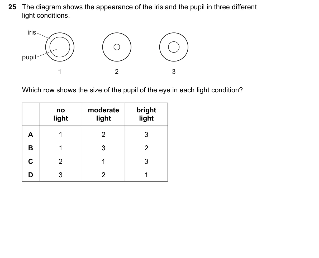 Question 25, June 2026, 0610 Paper 11