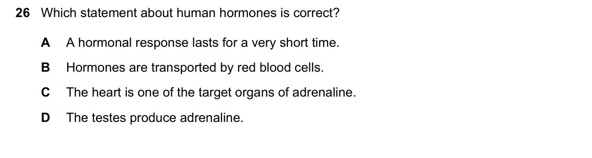 Question 26, June 2026, 0610 Paper 11