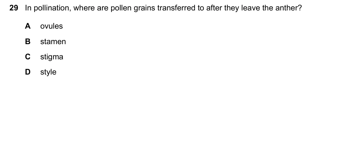 Question 29, June 2026, 0610 Paper 11