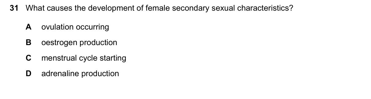 Question 31, June 2026, 0610 Paper 11