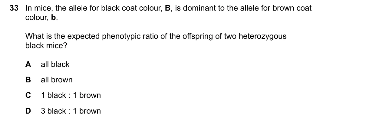 Question 33, June 2026, 0610 Paper 11