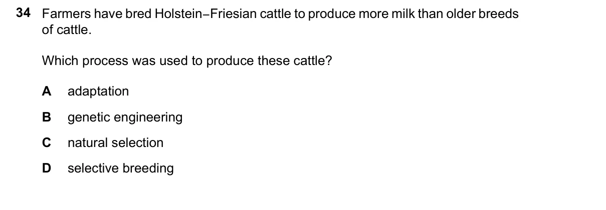 Question 34, June 2026, 0610 Paper 11