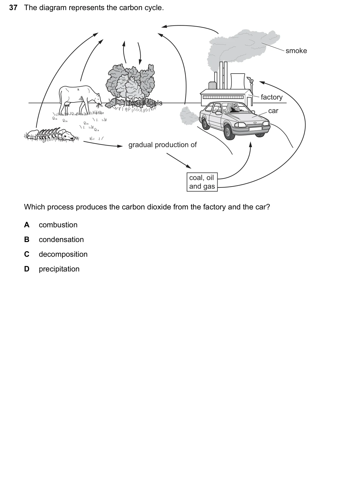 Question 37, June 2026, 0610 Paper 11